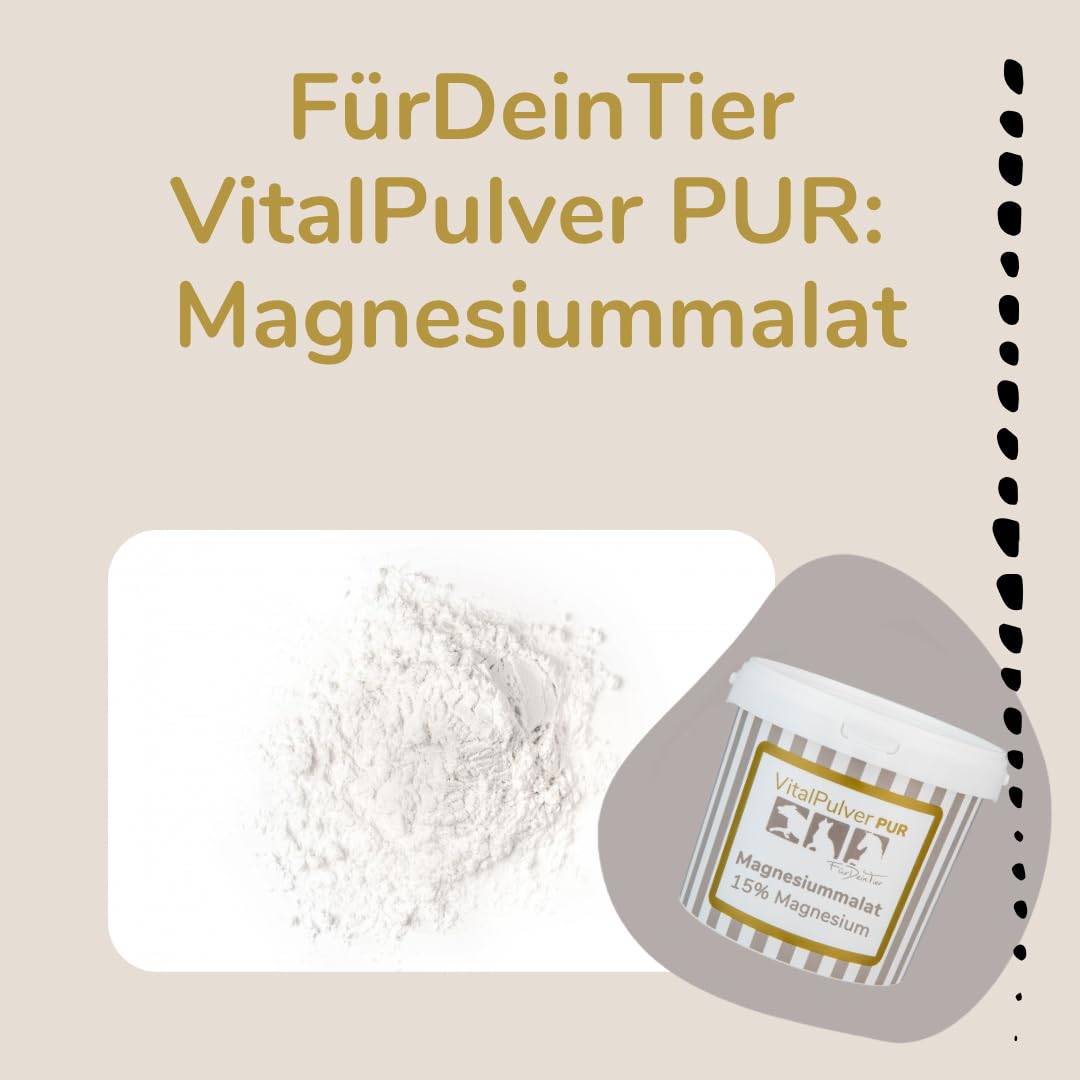 Für Dein Tier VitalPulver Pur | Magnesiummalat (1 x 300 g) | Ergänzung der Fütterung für Hunde, Katzen und Pferde | Organisches Magnesium mit Apfelsäure | Unterstützt Leistungsfähigkeit und Vitalität