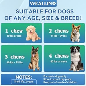 Dog Vitamins - 25-In-1 Dog Vitamins and Supplements Multivitamin For Dogs With Glucosamine Probiotics Omega-3 Dog Multivitamin Chewable For Coat, Heart, Hips & Joints, Digestion & Immune System 200pcs Dog Vitamins 25 In 1 Dog Vitamins and Supplements Multivitamin For Dogs With Glucosamine Probiotics Omega 3 Dog Multivitamin Chewable For Coat Heart Hips Joints Digestion Immune System 200pcs