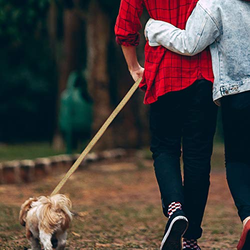 Fantasias Tehaux para cães de estimação - 1 peça de corda de tração para animais de estimação com es