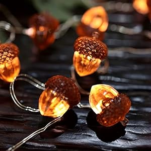 Decorative Fairy Acorn String Lights Thanksgiving Decoration Autumn Garland Cute Novelty Lights 30 LEDs 10 ft Battery Operated for Bedroom Wedding Birthday Harvest Decor Decorative Fairy Acorn String Lights Thanksgiving Decoration Autumn Garland Cute Novelty Lights 30 LEDs 10 ft Battery Operated for Bedroom Wedding Birthday Harvest Decor