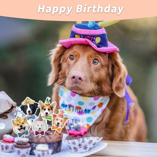 WATUNID 28Pcs Hund Cupcake Toppers, Hund Gesicht Kuchen, Hunde Geburtstag Muffin Deko, Niedliche Welpen Cupcake Deko für Haustier Thema Hundegeburtstag Party-Zubehör Baby-Dusche (20 Styles)