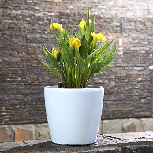 Sungmor 7.1"/18cm Macetas de plantas autorriego - Fácil agregar agua + Observar...