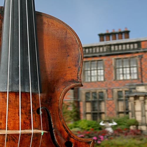 Canon String Quartet