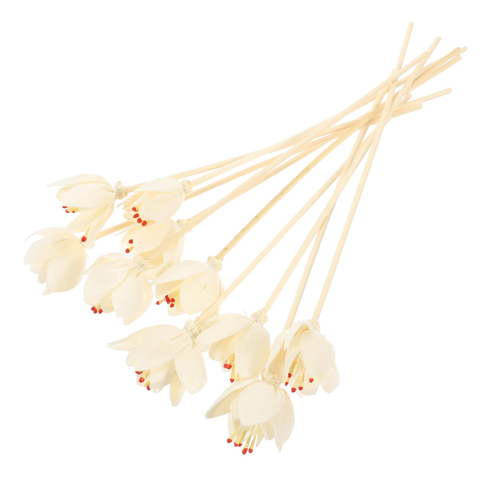 Cabilock 5 Series Rota De Aromaterapia Oleos Essenciais Essential Oils Essential Oil Diffuser Baño para Botella De Aroma Inserta Palos Difusores De Aroma Decorativos Papiro 10 Piezas X 5