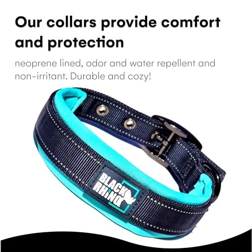 Black Rhino - Das Comfort Halsband Super Weiches Neopren Gepostertes Hundehalsband für alle Hunderassen - Hochbeanspruchbar Verstellbar Reflektierend Wetterfest (Mittel, Aqua/Grau)