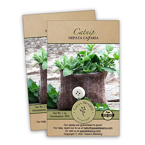 Gaea's Blessing Seeds - Catnip Seeds - Non-Gmo Heirloom Seeds Nepata Cataria Open-Pollinated - With Easy To Follow Instructions - 90% Germination Rate Net Wt. 1.1G (Pack Of 2) #TOP16