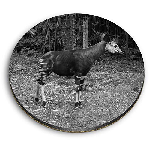 1 x Round MDF Magnet - Okapi Forest Giraffe Zebra 39321