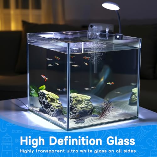 Nobleza - Pecera de Cristal 27 litros con Filtro Integrado e Iluminación LED – Acuario Completo para Principiantes e Iniciación - imagen 2