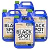 Jarder Super Strength Black Spot Remover 4 x 5L - Elimimates Black Spot, Lichen, Dirt, Grime, Mould and More - Use on Concrete, Block Paving, Patio Slabs, Driveways and More