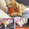LUKITO Chew Toys for Dogs - Durable and Teeth-Cleaning