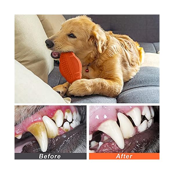 LUKITO Chew Toys for Dogs - Durable and Teeth-Cleaning
