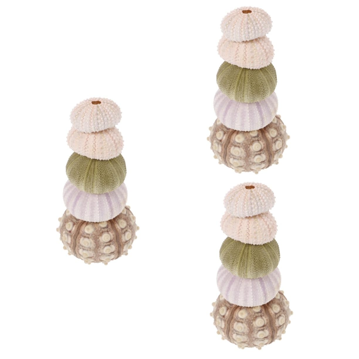 YARNOW 3 Set Decorazione di Ricci di Mare Conchiglie di Ricci di Mare Fondo Bonsai Naturale Porta Piante Ad Aria Piccolo Contenitore Esemplare di Riccio Monello Conchiglia 5 Pezzi*3