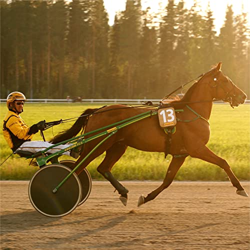 Polar Equine - Pferde Reitsport Trab - H10 HerzFrequency-Sensor - Wasserdichter Pulssensor mit Brustgurt - Image 3