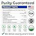 BARK&SPARK Green Grass Chews - Pee Grass Spot Saver Caused by Dog Urine - Urine Neutralizer for Lawn, Gut Health Probiotics & Digestive Enzymes,Lawn Burn from Dog Urine, Grass Burn Spot Chews (240Ct)