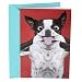 Hallmark Shoebox Funny Birthday Greeting Card (Dog Smile)