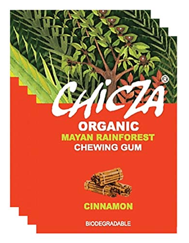 Chicza Chewing Gum - Cinnamon - 10 x 30g