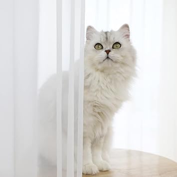 LONGTAI Window White Sheer Curtains 72 Inches Long 2 Panels Sheer White Curtains Clear Curtains Basic Rod Pocket Panel for Bedroom Children Living Room Yard Kitchen