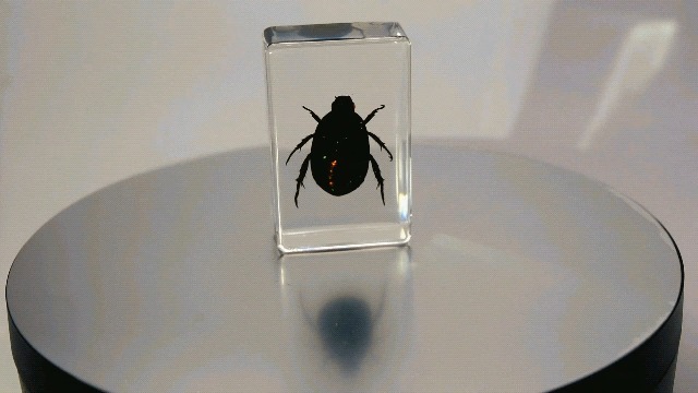 Image of 44mm Real Colorful Scarab Beetle in Crystal Clear Lucite Resin Crafts Specimen Preserved Various Animal Insect Bug Taxidermy Collection for Biology Science Education & Desk Ornament Display Supplies