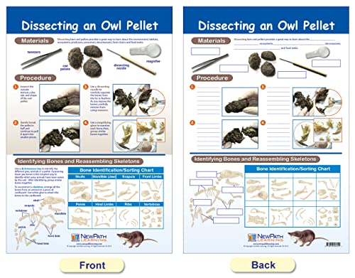 Newpath Learning Owls & Owl Pellets Bulletin Board Charts, Set/5 - Laminated, Double-Sided, Full-Color, 12" X 18" (94-7006) #TOP5