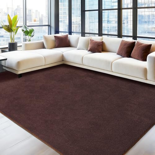 Tapis d'intérieur confortable Rezutan grand format marron shaggy