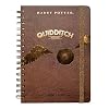 Erik Planner – Schoolplanner Harry Potter Quidditch – kalender weekoverzicht 2020/2021 voor scholieren 12 maanden…