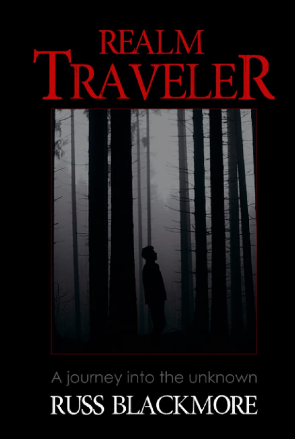 Realm Traveler: A Journey into the Unknown