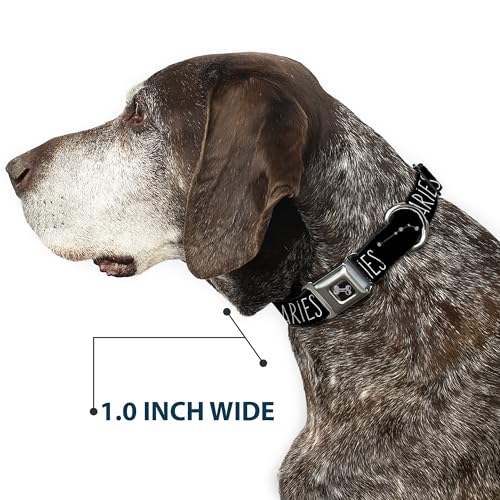 Collier de chien ceinture de sécurité Buckle Down Bélier noir