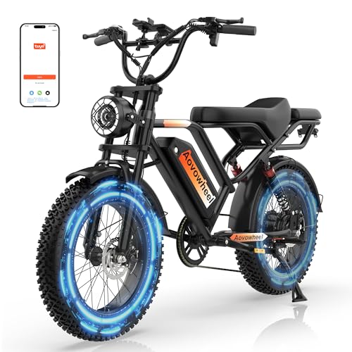 Aovowheel AW2PRO Full Suspension