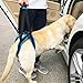 ROZKITCH Pet Dog Support Harness Rear Lifting Harness Veterinarian Approved for Old K9 Helps with Poor Stability, Joint Injuries Elderly and Arthritis ACL Rehabilitation Rehab L Blue