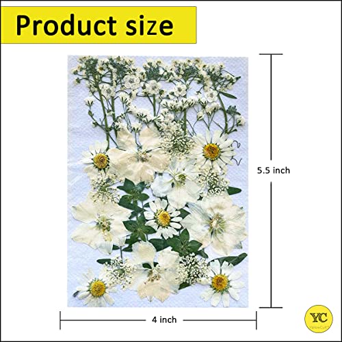 Image of YellowCult Natural Real Dried & Pressed Flowers for Art Craft - Mixed, Multicolor for Soap, Candle, Scrapbooking, DIY, Resin Jewelry, Pendant - [Luxury White 18x13 cm Sheets]