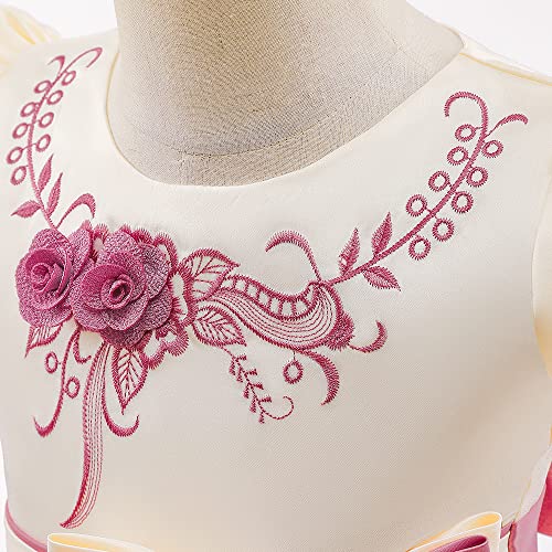 Baby Girls Dress Toddler Flower Girl Dresses Birthday Party Princess Dresses Sleeveless Tutu Pageant Dress4