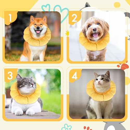 Image of Soft Dog Cone Collar,Dog Donut Collar After Surgey, Flower Shape Dogs Cone Alternative, Adjustable Cat Collars for Medium Large Dogs(M)