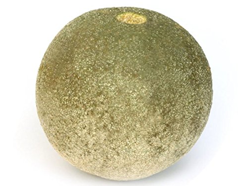 Fresh Wood Apple, 1 Pc : Amazon.in: Grocery & Gourmet Foods