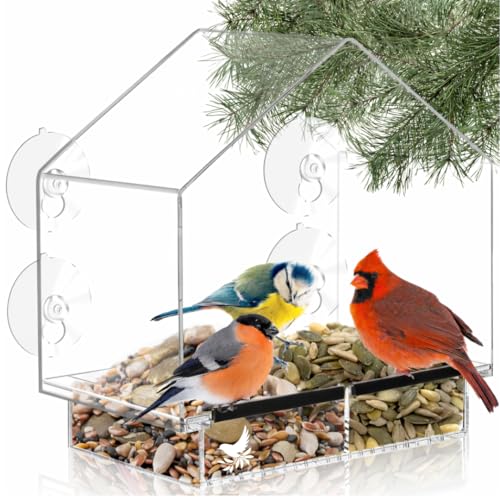 Window Bird Feeder