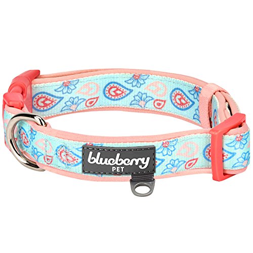 Blueberry Pet 5 Patterns Soft & Comfy Paisley Flower Print Neoprene Padded Adjustable Dog Collar, Pastel Blue, Large, Neck 18
