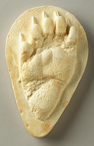 Young Black Bear Track Replica