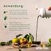 Grüne Mutter 2.0 - Das Original - Greens Shake - Akazienfaserpulver, Weizengras, Brennnessel, Mariendistel, Alfalfa, Chlorella und mehr - Smoothie Shake - 600g Pulver - Alpha Foods