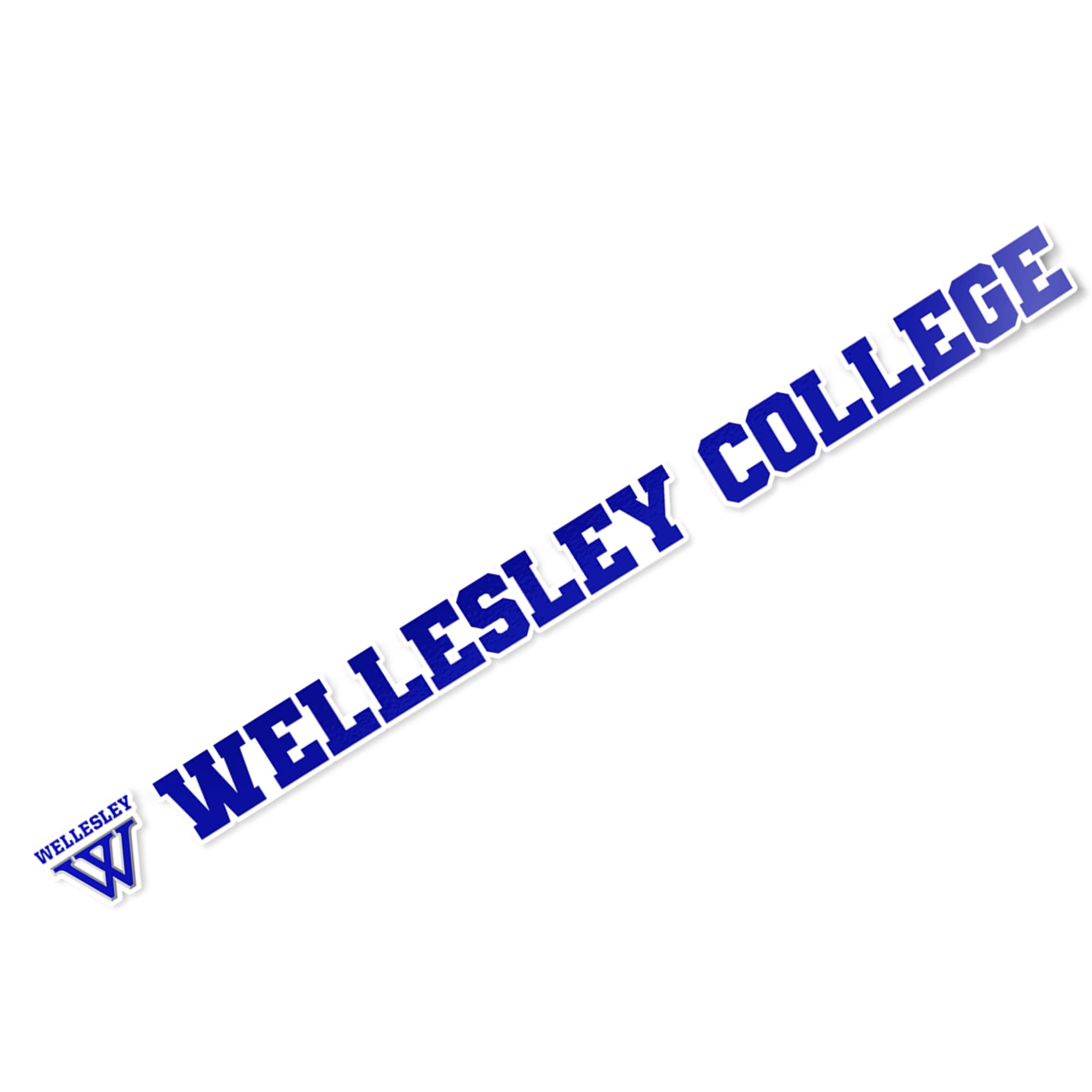 Buy Wellesley College Blue Name Logo Vinyl Decal Laptop Water Bottle Car Scrapbook (15 Inch