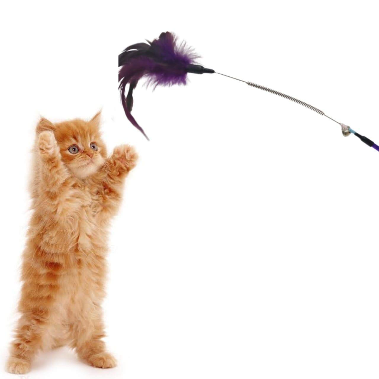 RvPaws Cat Feather Spring Stick Teaser Kitten Interactive Bell Rod Wand Playing Toy -1 Piece(Color May Vary) (B09J29T9N6) Amazon Price History, Amazon Price Tracker