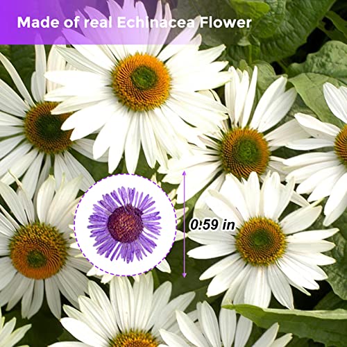 60 flores secas de crisantemo en aguja moradas para resina miniatura 2