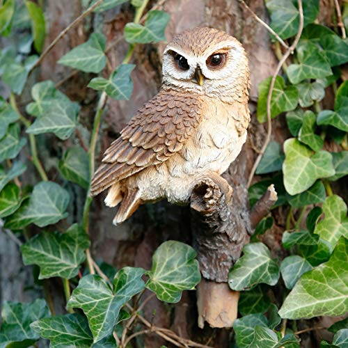 Preisvergleich Produktbild Gärtner Pötschke Gartenfigur Eule Soraya