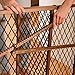 Evenflo Position & Lock Baby Gate, Pressure-Mounted, Farmhouse Collection