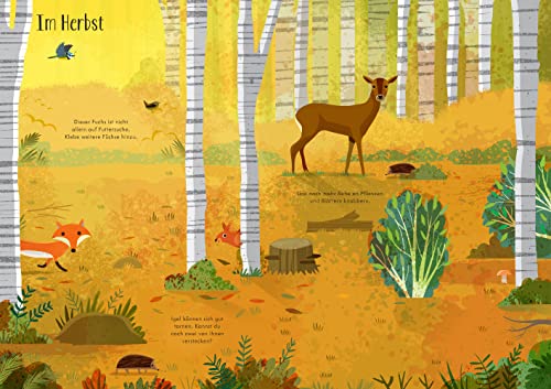 Mein Immer-wieder-Stickerbuch: Im Wald (Meine Immer-wieder-Stickerbücher)