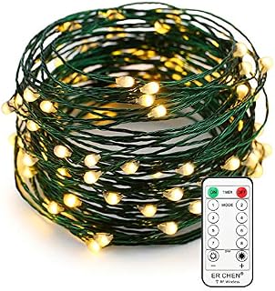 Erchen Plug in Fairy Lights, 33 FT 10M 100 LED Dimmable Green Copper Wire LED Starry String Lights with Power Adapter RF Remote Control for Wedding Christmas Party Bedroom (Warm White)