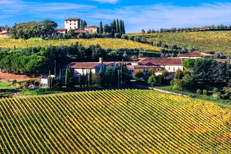 adrium Cuadro acrílico de 140 x 90 cm con un hermoso paisaje toscano, viñedos en la región de Chianti, Italia (68053109)