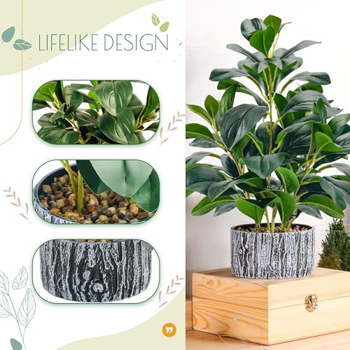 Der Rose 15.7" Small Artificial Plant Indoor for Shelf Desk Entryways Decor - Image 5