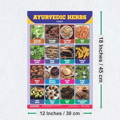 Image of ESCAPER Ayurvedic Herbs Educational Charts for Kids Learning (11.5 x 17.5 inches), Study Material, Learning Books, Posters
