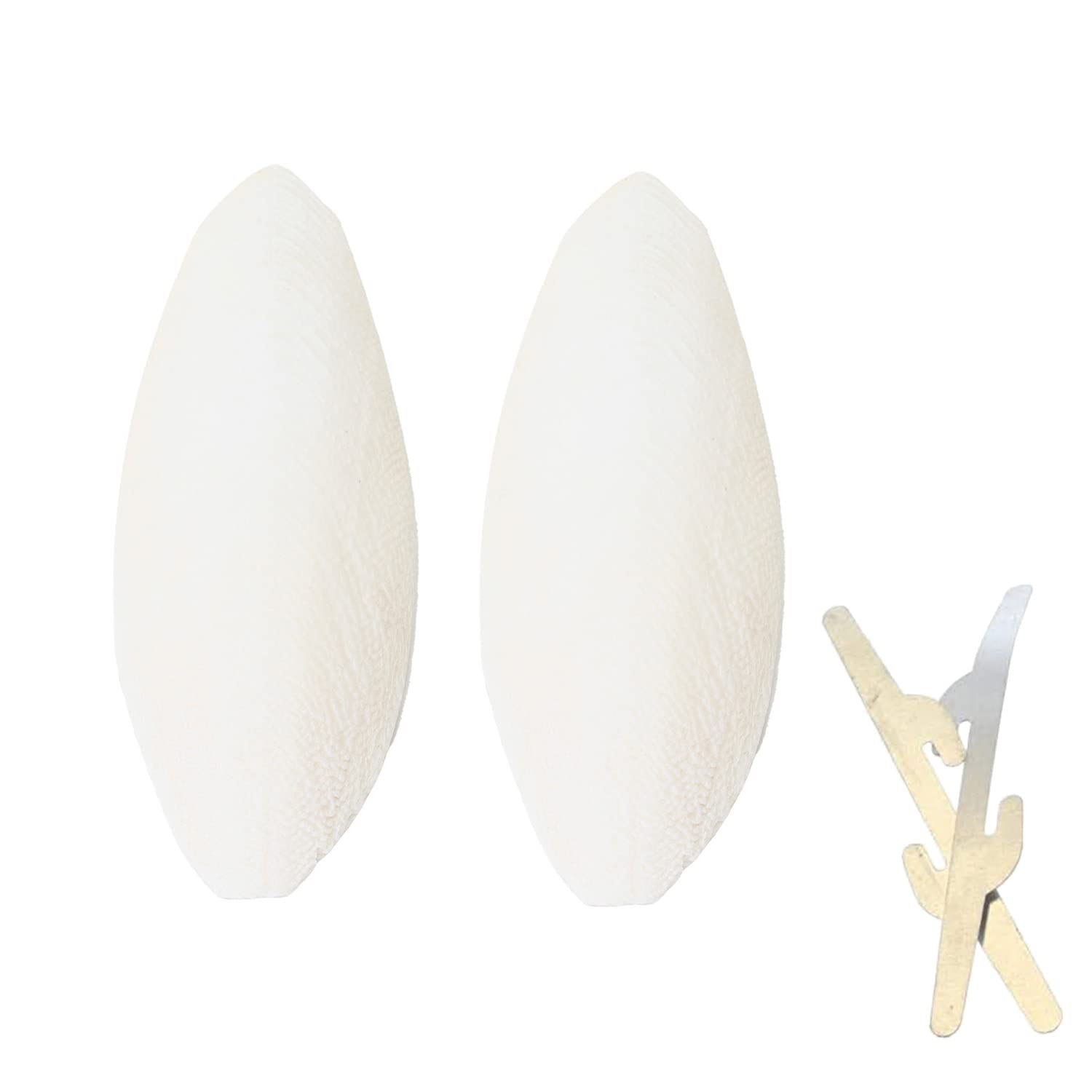 Natural Cuttlefish Bone for Reptiles, Tortoises, Tortoise, Snails, Birds and Small Animals, 5.5-6 inch, Twin Pack