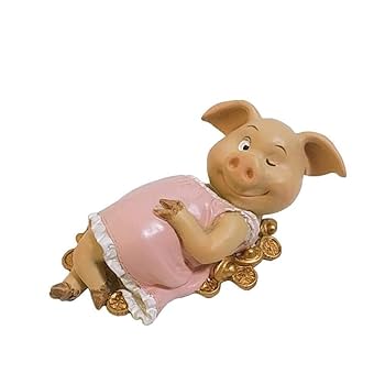 SQBJ Decorative Birthday Gift Presents Pig Year Gift