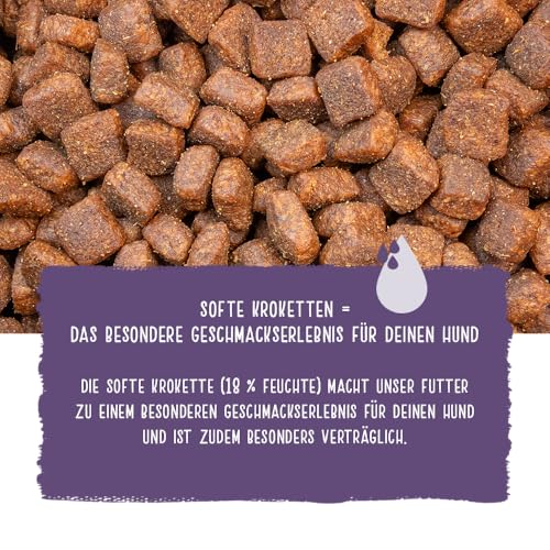 Chicopee Classic Nature Line | Soft Senior | Hundefutter halbfeucht | Mit Huhn & Reis | Weizenfrei & Soft-Krokette | Bedarfsgerechtes Life-Cycle-Konzept | Inspiriert von der Natur Kanadas | 15 kg